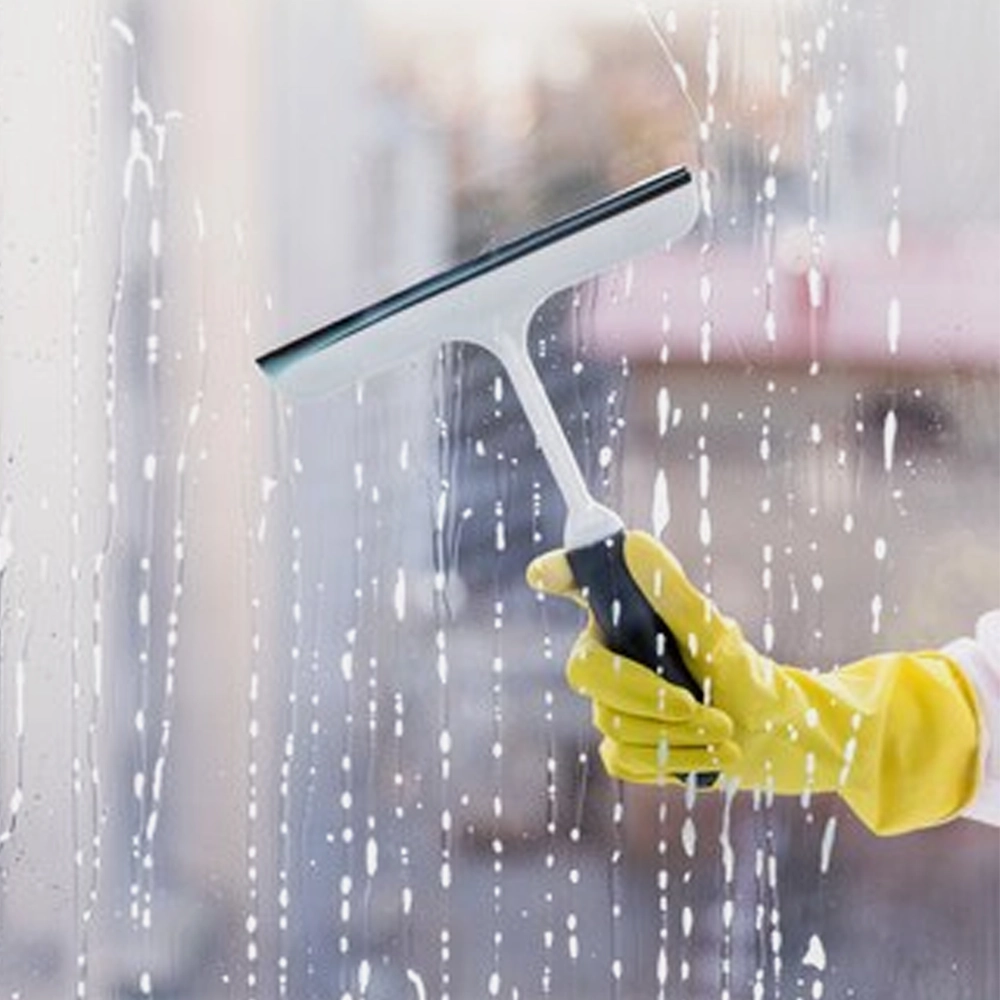 Propristine — Cleaning Service