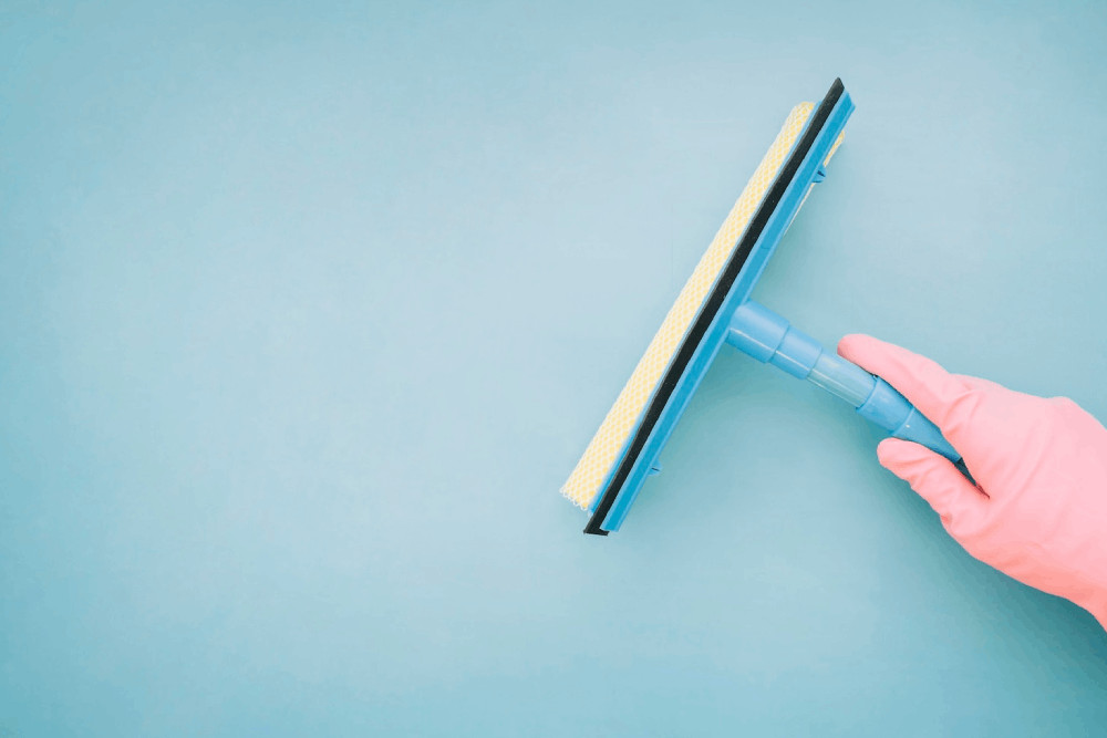 Propristine — Cleaning Service