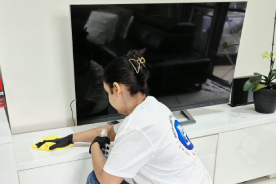 Propristine — Cleaning Service